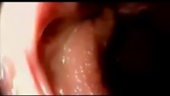 দ্বিতীয় ভাগে তীব্র যোনি প্রবেশ এবং উদ্দীপনা