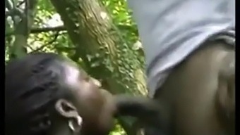 Black Ebony Beauty Gets Her Ass Fucked Hard