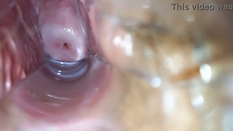 Intense Climax In The Vagina